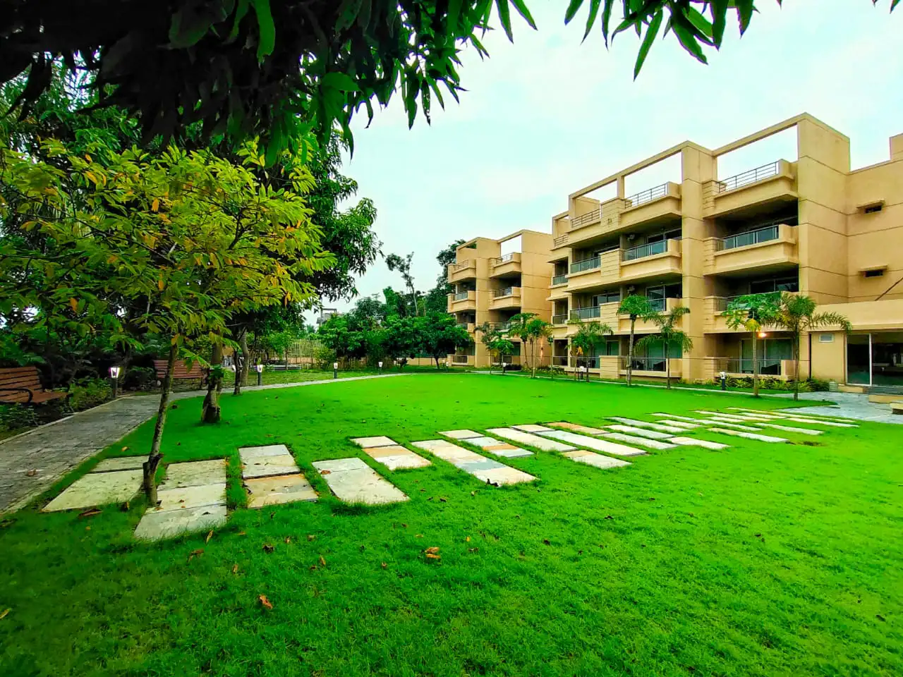 Backyard lawn